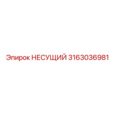 Прецизионный несущий компонент 3163036981 для автоматики