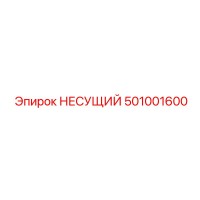 501001600 НЕСУЩИЙ Эпирок