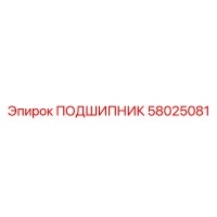 58025081 ПОДШИПНИК Epiroc