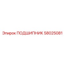 58025081 ПОДШИПНИК Epiroc