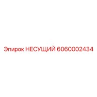 6060002434 Bearing Epiroc