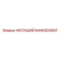 8440303847 НЕСУЩИЙ Epiroc