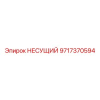 9717370594 НЕСУЩИЙ Epiroc