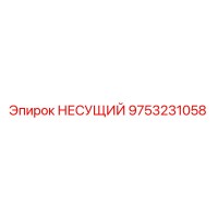 9753231058 НЕСУЩИЙ Epiroc