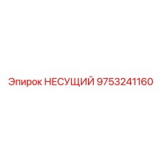 9753241160 НЕСУЩИЙ Epiroc