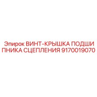 9170019070 ВИНТ-КРЫШКА ПОДШИПНИКА СЦЕПЛЕНИЯ Epiroc