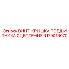 9170019070 ВИНТ-КРЫШКА ПОДШИПНИКА СЦЕПЛЕНИЯ Epiroc