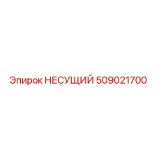 509021700 НЕСУЩИЙ Epiroc