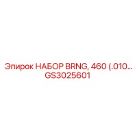 GS3025601 НАБОР BRNG, 460 (.010…) (Epiroc)