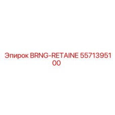 Фиксатор подшипника Epiroc артикул 5571395100