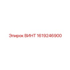1619246900 ВИНТ Epiroc