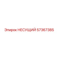 57367385 НЕСУЩИЙ Epiroc