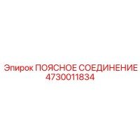 4730011834 ПОЯСНОЕ СОЕДИНЕНИЕ Epiroc