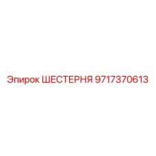 9717370613 ШЕСТЕРНЯ Epiroc