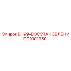 91001650 BH99-ВОССТАНОВЛЕНИЕ Epiroc