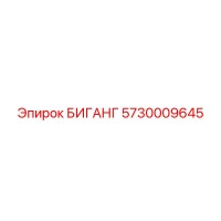 5730009645 БИГАНГ Epiroc