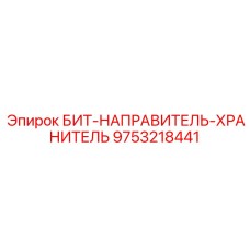 9753218441 БИТ-НАПРАВИТЕЛЬ-ХРАНИТЕЛЬ Epiroc
