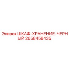 2658458435 ШКАФ-ХРАНЕНИЕ-ЧЕРНЫЙ Эпирок
