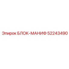 52243490 БЛОК-МАНИФ Epiroc