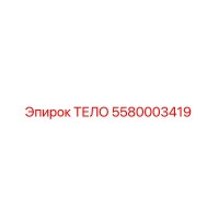 5580003419 ТЕЛО Epiroc
