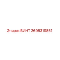 2695319851 ВИНТ Epiroc