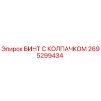 2695299434 ВИНТ С КОЛПАЧКОМ Epiroc
