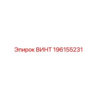 196155231 ВИНТ Epiroc
