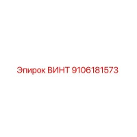 9106181573 ВИНТ Эпирок