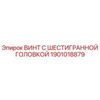 1901018879 ВИНТ С ШЕСТИГРАННОЙ ГОЛОВКОЙ Эпирок