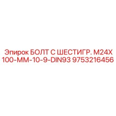 9753216456 БОЛТ С ШЕСТИГР. М24X100-ММ-10-9-DIN93 Epiroc