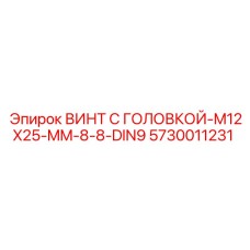 5730011231 ВИНТ С ГОЛОВКОЙ-M12X25-MM-8-8-DIN9 (Epiroc)