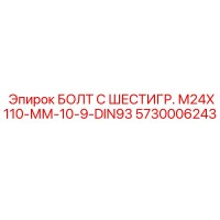 5730006243 БОЛТ С ШЕСТИГР. М24X110-ММ-10-9-DIN93 | Epiroc