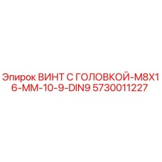 5730011227 ВИНТ С ГОЛОВКОЙ-M8X16-MM-10-9-DIN9 (Epiroc)