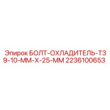 2236100653 БОЛТ-ОХЛАДИТЕЛЬ-T39-10-MM-X-25-MM Epiroc