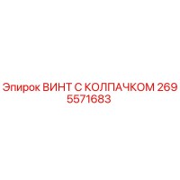2695571683 ВИНТ С КОЛПАЧКОМ Epiroc
