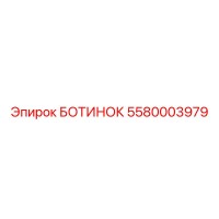 5580003979 БОТИНОК Epiroc