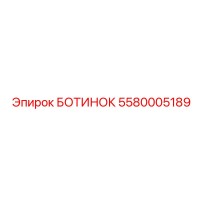 5580005189 БОТИНОК Epiroc