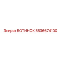 5536674100 БОТИНОК Epiroc