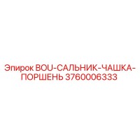 3760006333 BOU-САЛЬНИК-ЧАШКА-ПОРШЕНЬ Epiroc