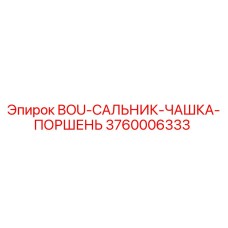 3760006333 BOU-САЛЬНИК-ЧАШКА-ПОРШЕНЬ Epiroc