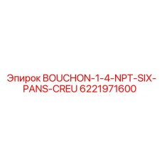 6221971600 BOUCHON-1-4-NPT-SIX-PANS-CREU Epiroc