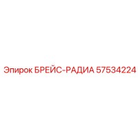 57534224 БРЕЙС-РАДИА Epiroc