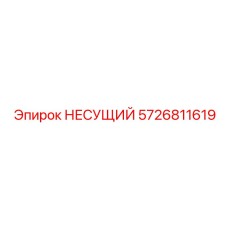 5726811619 НЕСУЩИЙ Epiroc