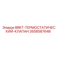 2658587648 BRKT-ТЕРМОСТАТИЧЕСКИЙ-КЛАПАН Epiroc