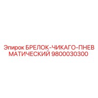 9800030300 БРЕЛОК-ЧИКАГО-ПНЕВМАТИЧЕСКИЙ Epiroc