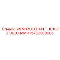 5730009905 BRENNZUSCHNITT-1015X310X30-MM-H Epiroc