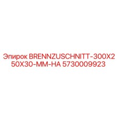 5730009923 BRENNZUSCHNITT-300X250X30-MM-HA Epiroc