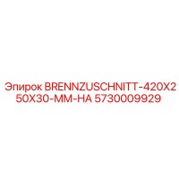 5730009929 BRENNZUSCHNITT-420X250X30-MM-HA Epiroc