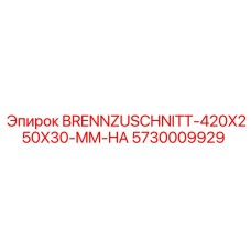 5730009929 BRENNZUSCHNITT-420X250X30-MM-HA Epiroc