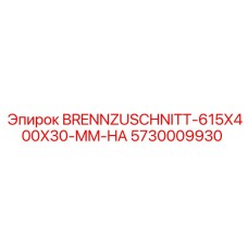 5730009930 BRENNZUSCHNITT-615X400X30-MM-HA Epiroc